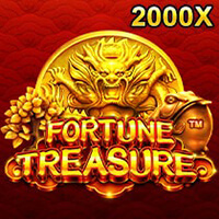FORTUNE TREASURE